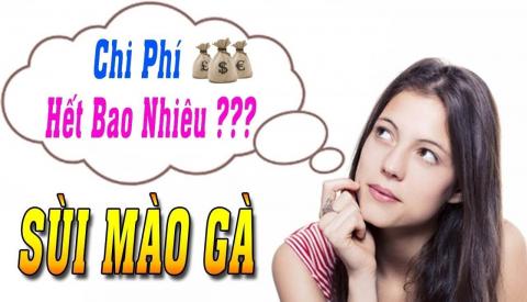 Chi phí điều trị bệnh sùi mào gà hết bao nhiều tiền?