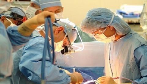 L&agrave;m thế n&agrave;o để chữa s&ugrave;i m&agrave;o g&agrave; hiệu quả.