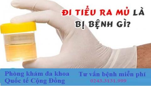 Tiểu ra mủ - Dấu hiệu bệnh l&yacute; nguy hiểm