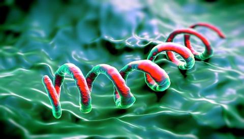 Những điều cần biết về bệnh giang mai