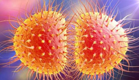 [B&aacute;c sĩ tư vấn] Chữa lậu như thế n&agrave;o để hiệu quả nhanh ch&oacute;ng?