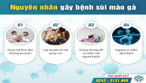 Nguyên nhân gây bệnh sùi mào gà không phải ai cũng biết