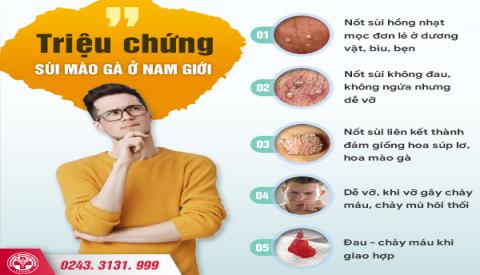 Sùi mào gà ở dương vật và những triệu chứng nam giới cần biết